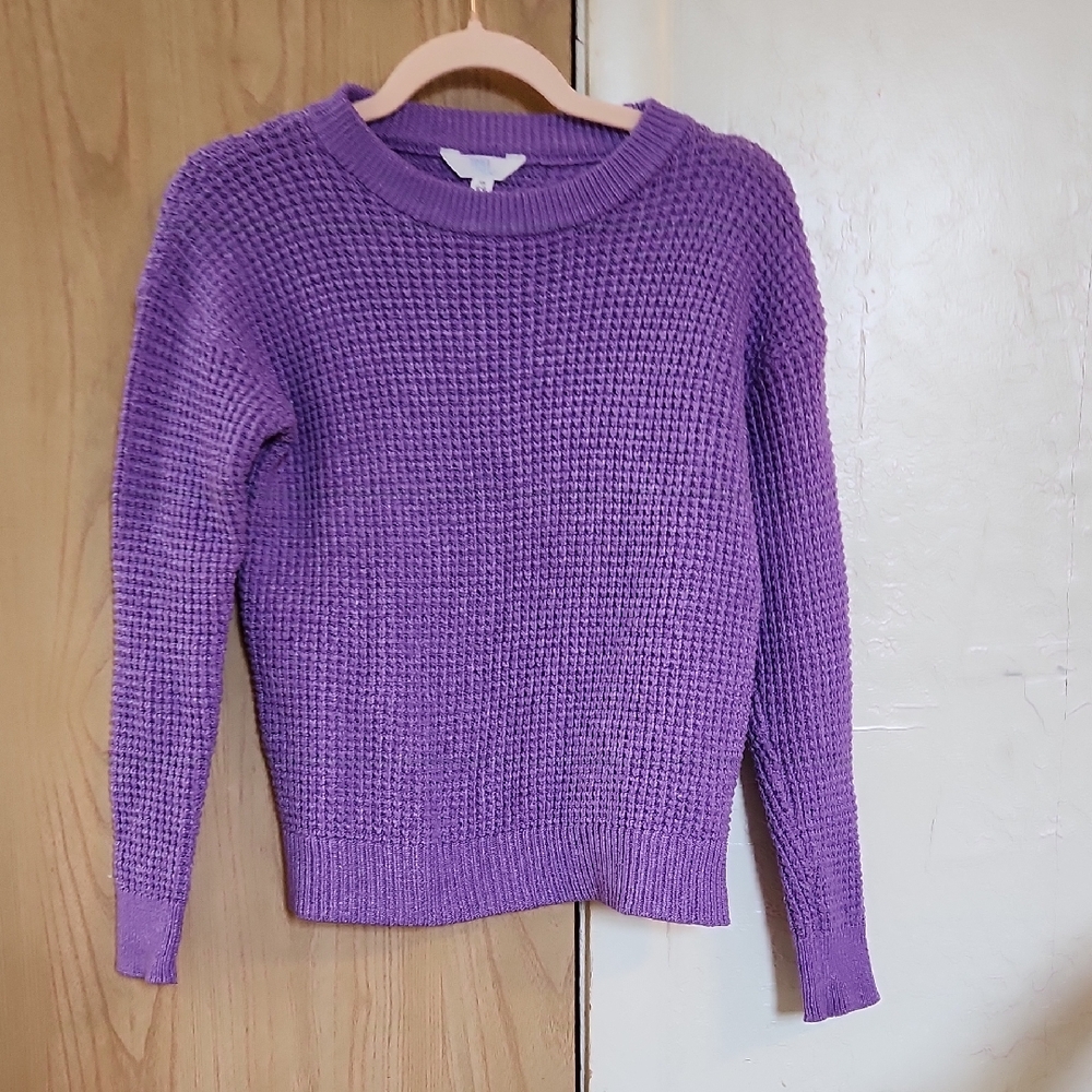 Time and Tru Women's Purple Crew Neck Sweater